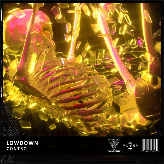 Control - Extended Mix album art