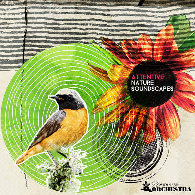 Attentive Nature Soundscapes cover art