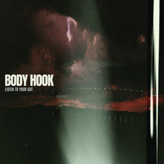 Listen To Your Gut cover art