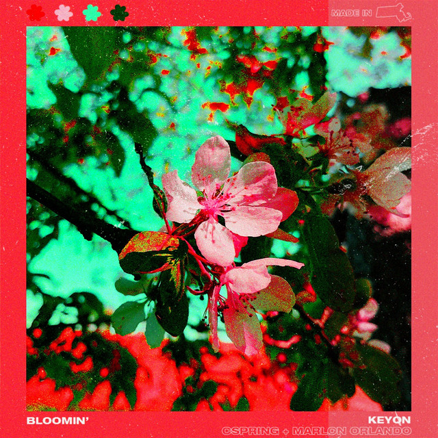 Blooming