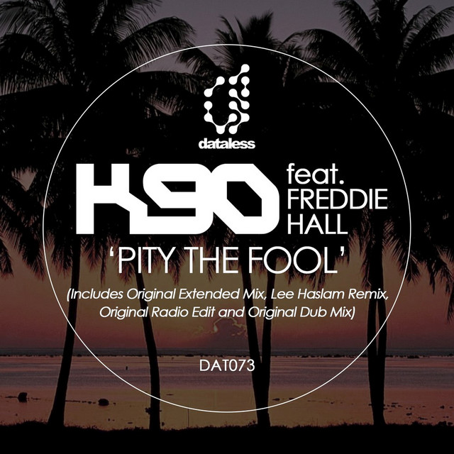 Pity the Fool - Lee Haslam Remix cover art