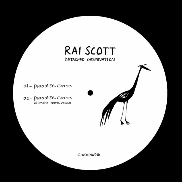 Detached Observation cover art