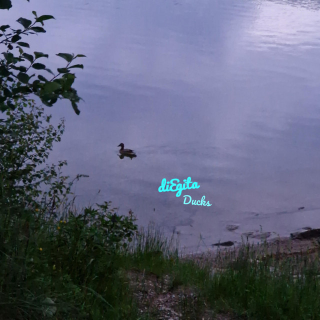 Ducks
