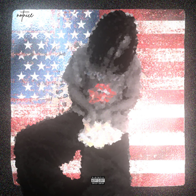 notnice cover art