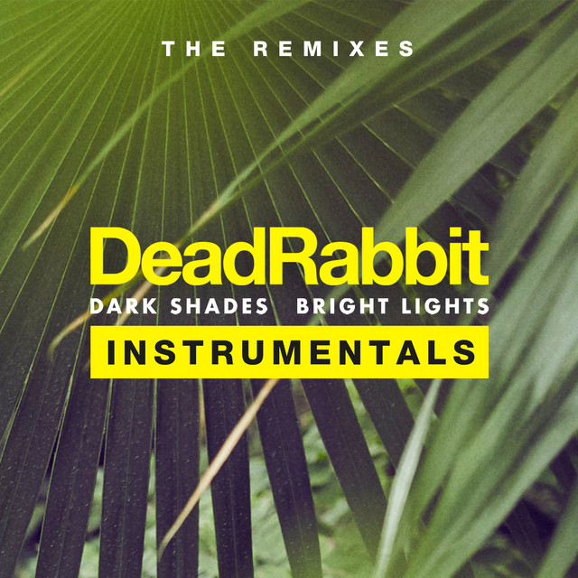 Dark Shades / Bright Lights - The Remixes Instrumentals cover art