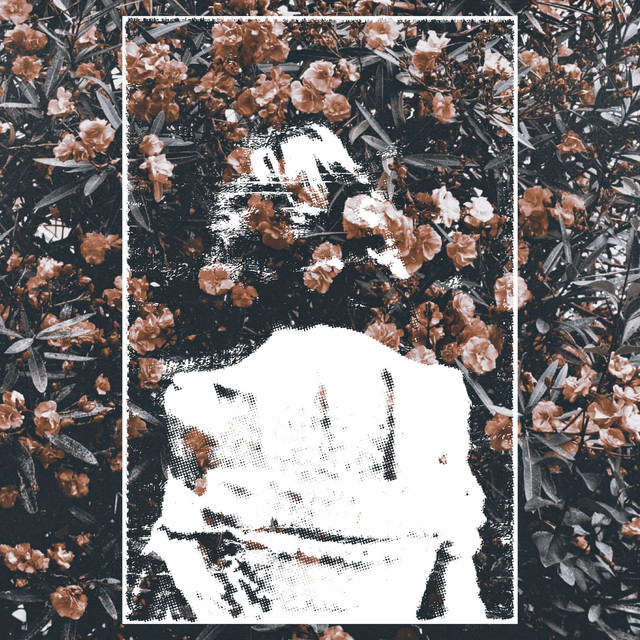 4-Way Split cover