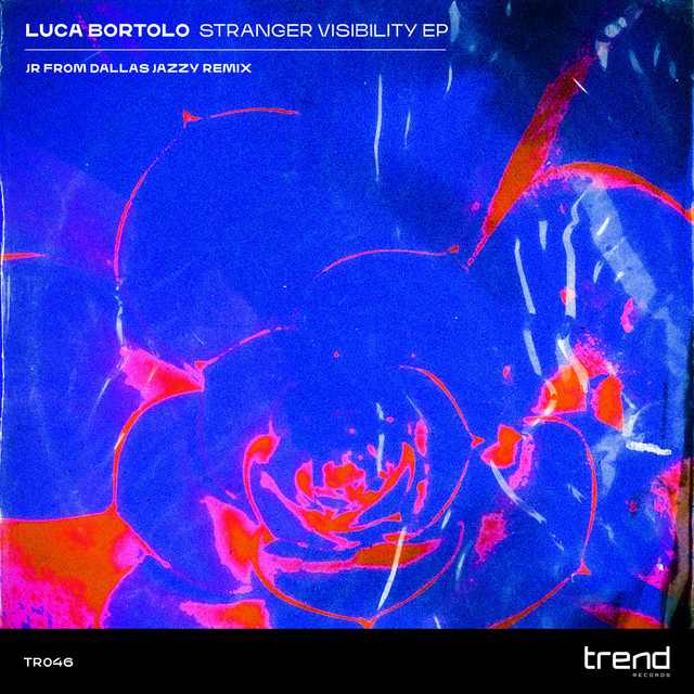 Stranger Visibility cover art