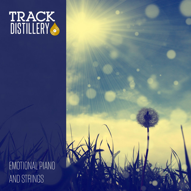 Emotional Piano And Strings cover art