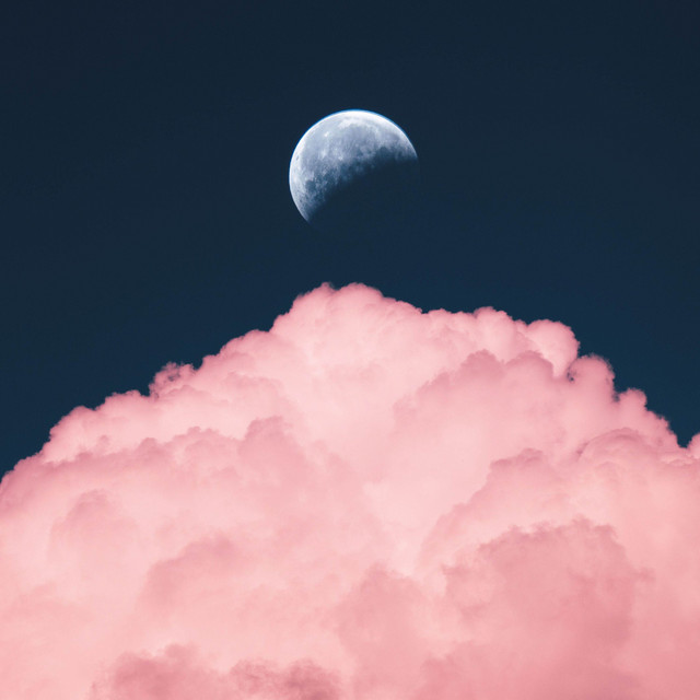Moonlight cover art