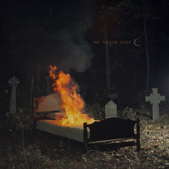 We Never Sleep cover