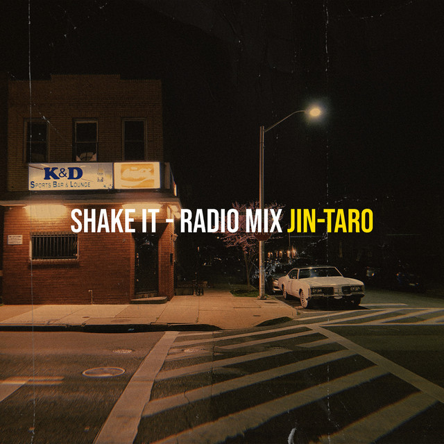 Shake It - Radio Mix cover art