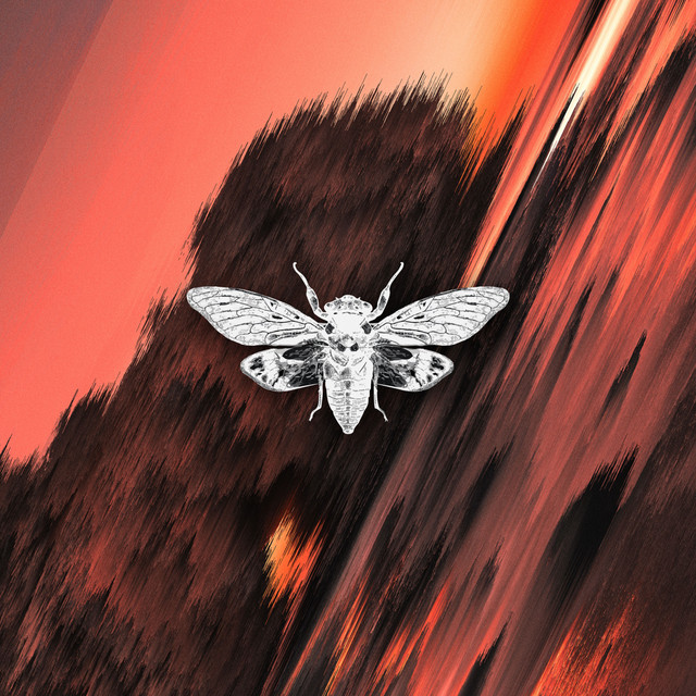 Divergence cover art