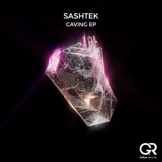 The Revolution - Extended Mix cover art