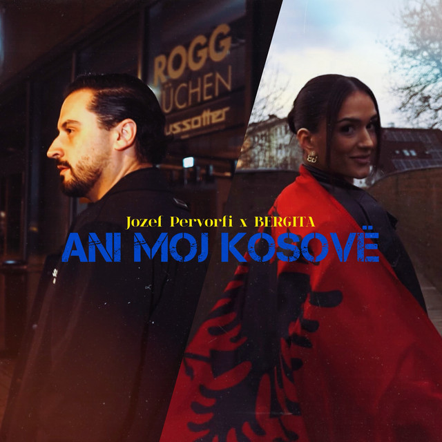 Ani moj Kosovë cover art