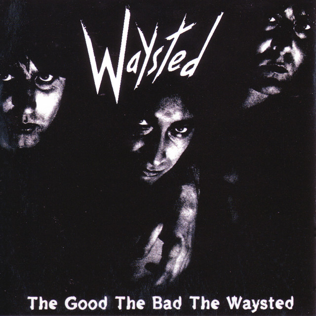 The Good The Bad The Waysted cover art
