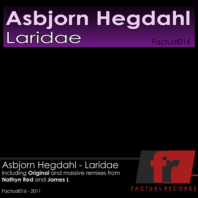 Laridae - Original Mix cover art