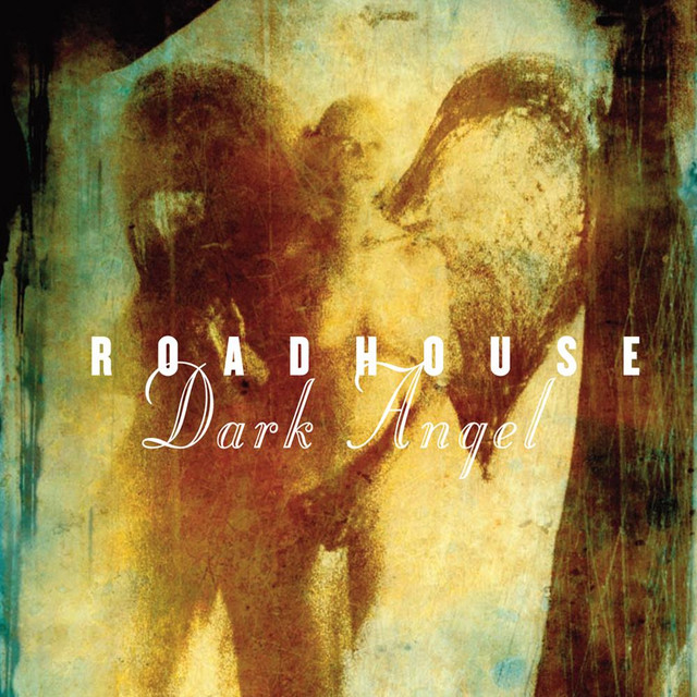 Dark Angel cover