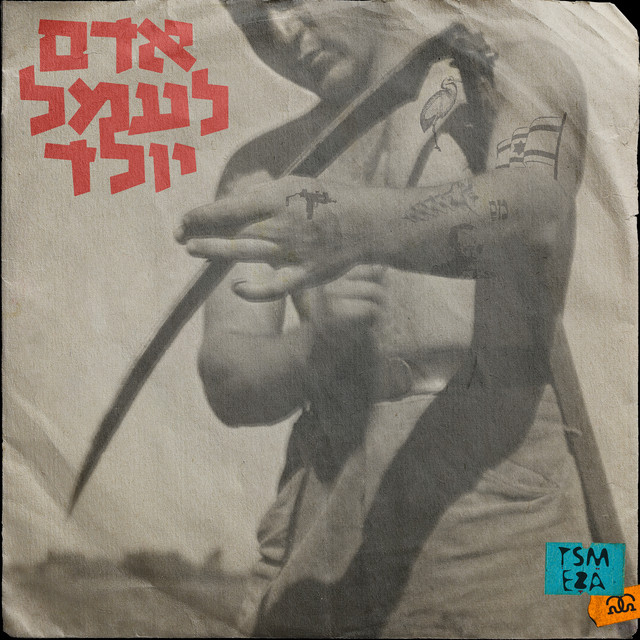 אדם לעמל יולד cover art