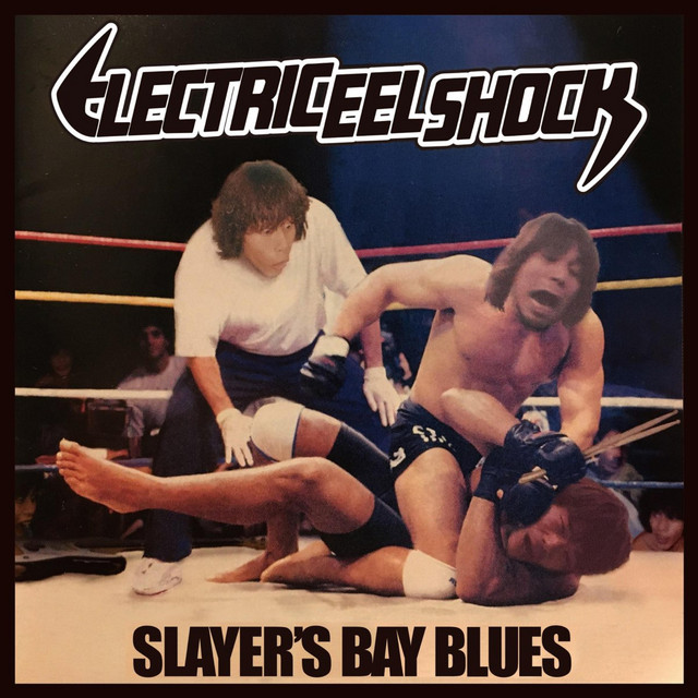 SLAYER'S BAY BLUES cover art