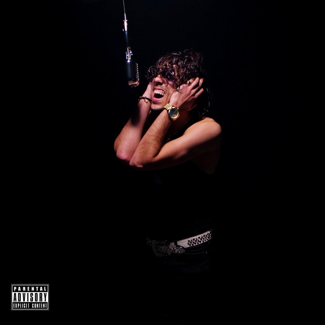 Emotionally Vulnerable cover art