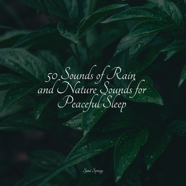 50 Sounds of Rain and Nature Sounds for Peaceful Sleep - Album by ...