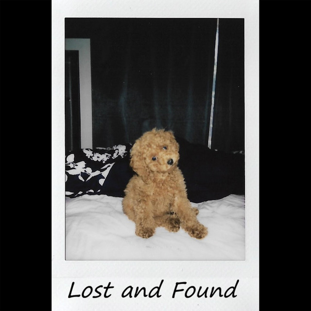 Lost and Found cover art