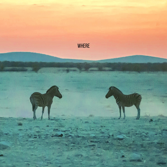 WHERE cover