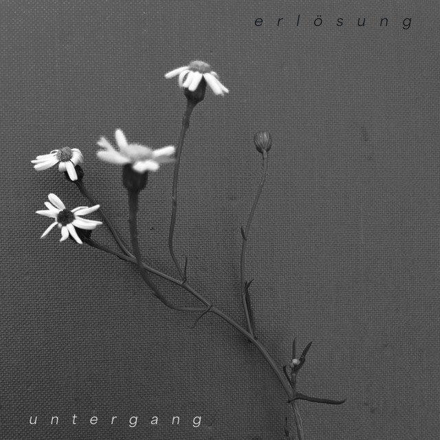 Erlösung Untergang cover