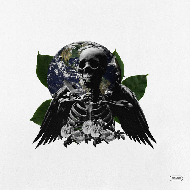 This Here Is Everything/Errrrday cover art