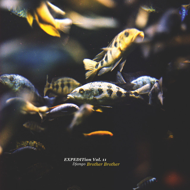 Expedition, Vol. 11 (Brother Brother) cover art