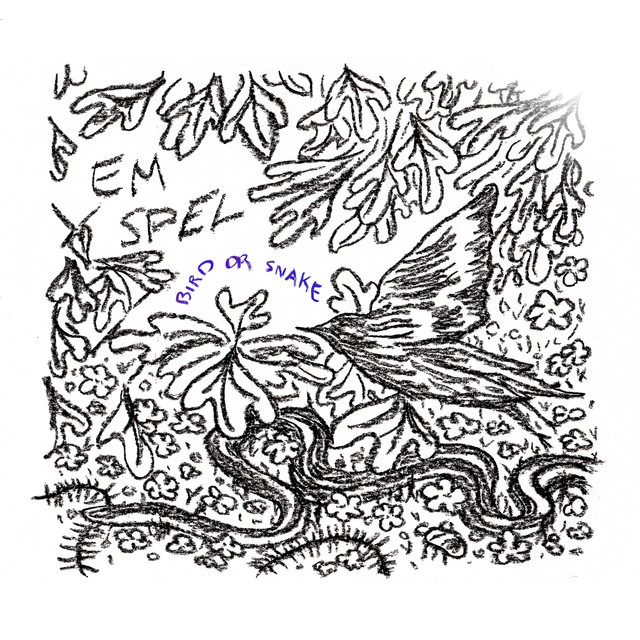 Bird or Snake album image
