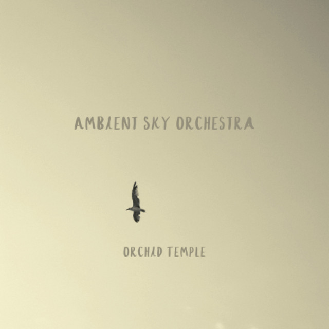 Ambient Sky Orchestra