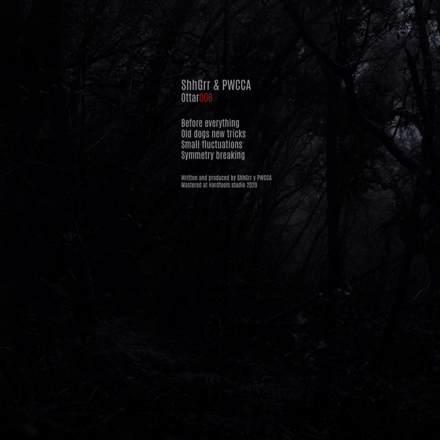 Small fluctuations album art