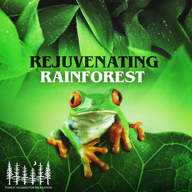 Rejuvenating Rainforest - Album by Forest Sounds For Relaxation | Spotify