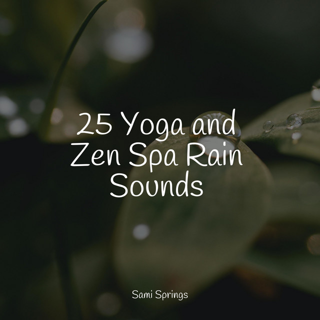 25 Yoga and Zen Spa Rain Sounds - Album by Ambient Music Therpy | Spotify
