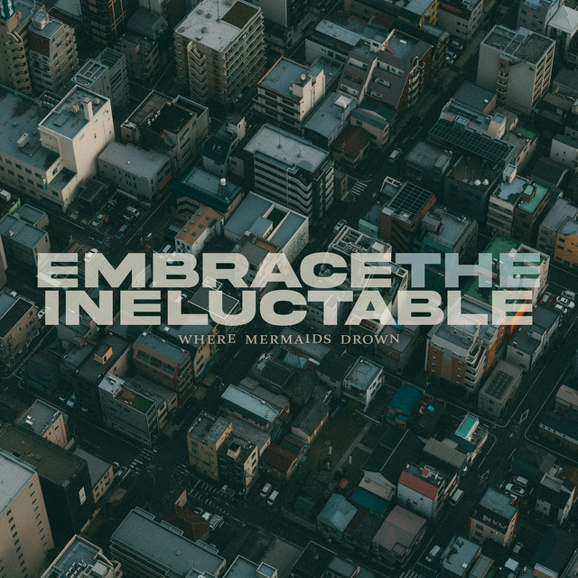 Embrace the Ineluctable (single)