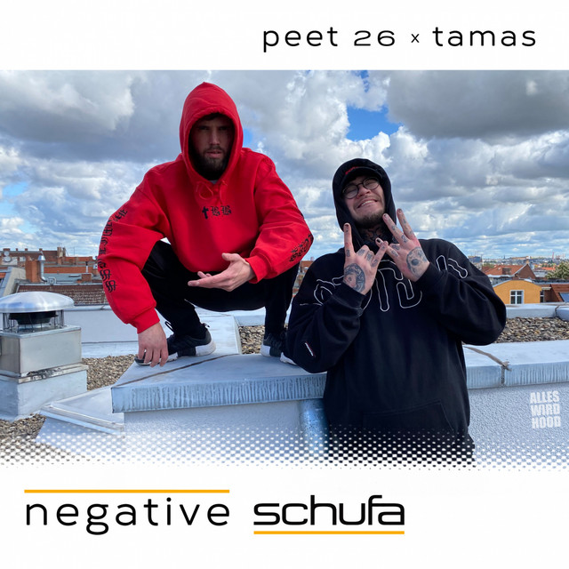 Negative Schufa cover
