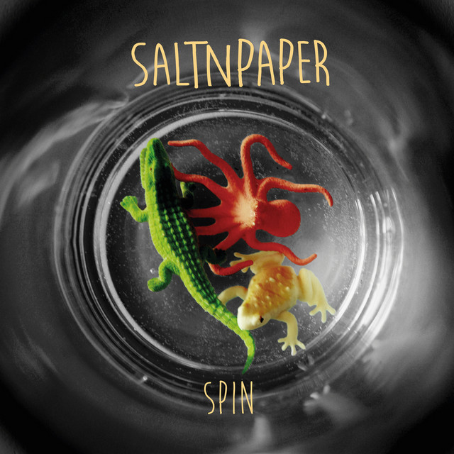 SPIN cover art
