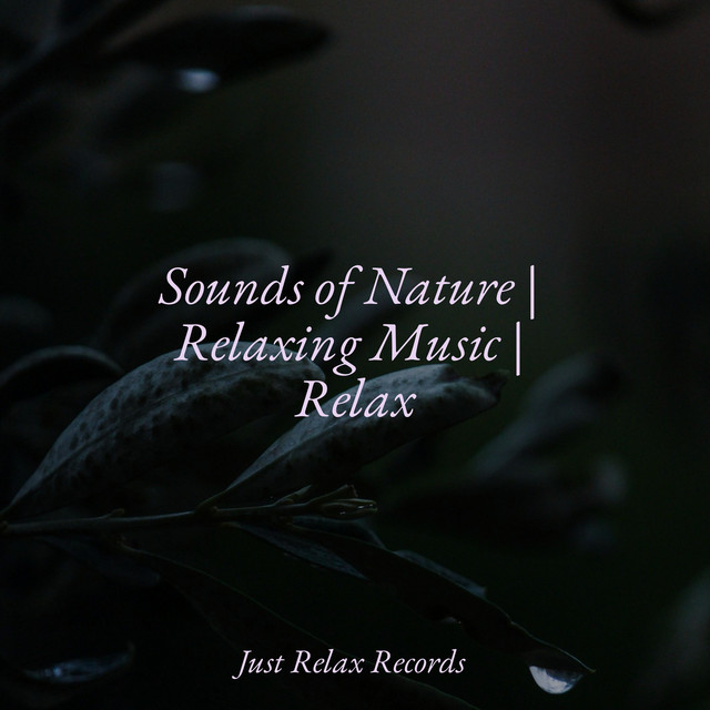 Sounds of Nature | Relaxing Music | Relax - Album by Soothing Sounds ...