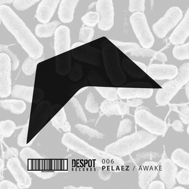 Pelaez