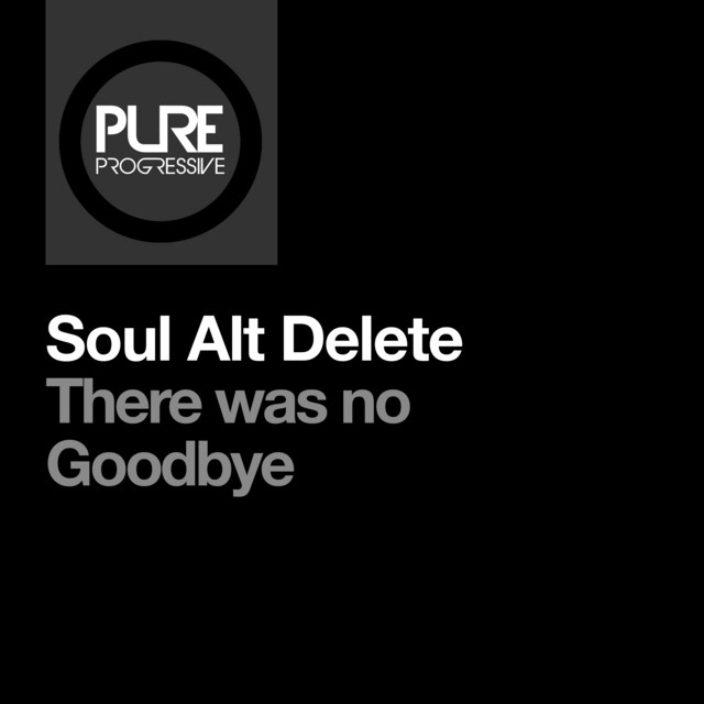 There Was No Goodbye - Extended Mix album art