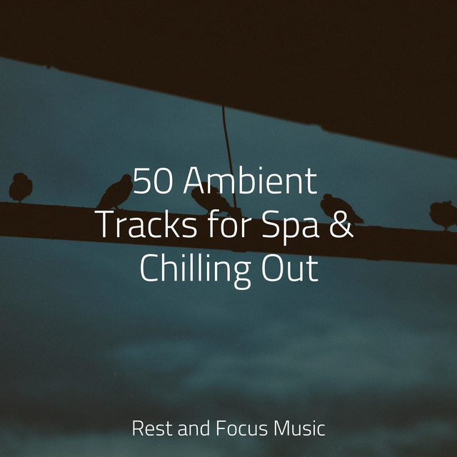 50 Ambient Tracks for Spa & Chilling Out - Album by Meditation | Spotify