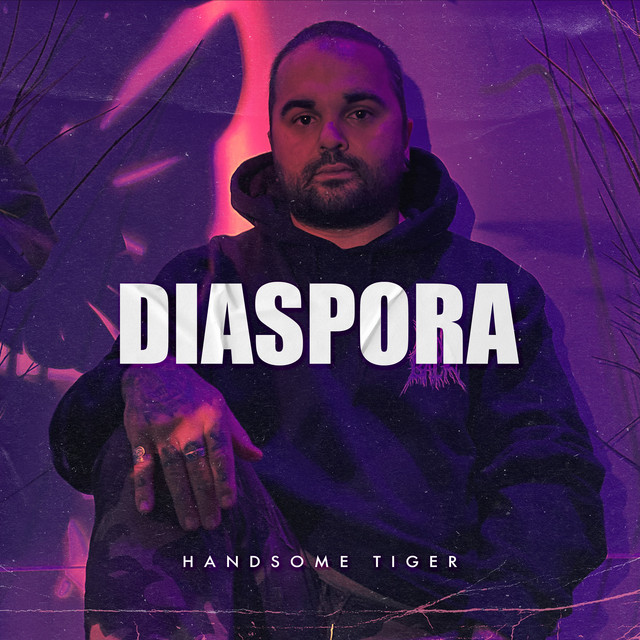 Diaspora - Single by Handsome Tiger | Spotify