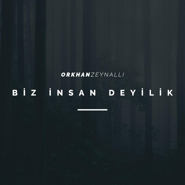 Biz Insan Deyilik cover art