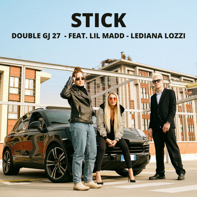 Stick cover art