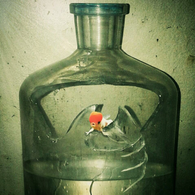 Trapped