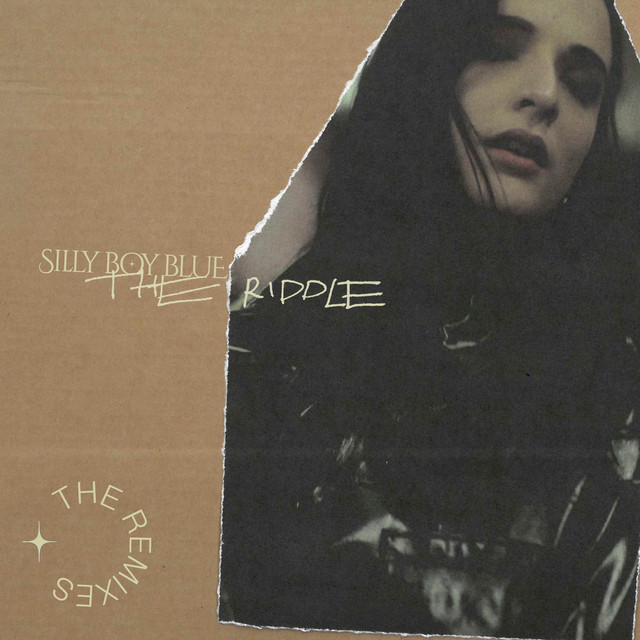 The Riddle cover art
