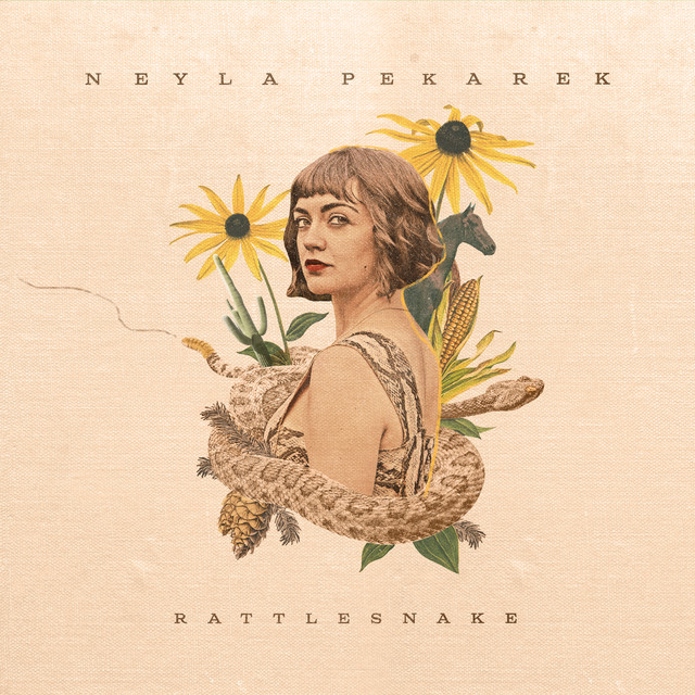 Rattlesnake cover