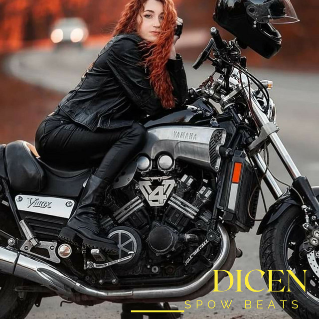 Dicen cover art