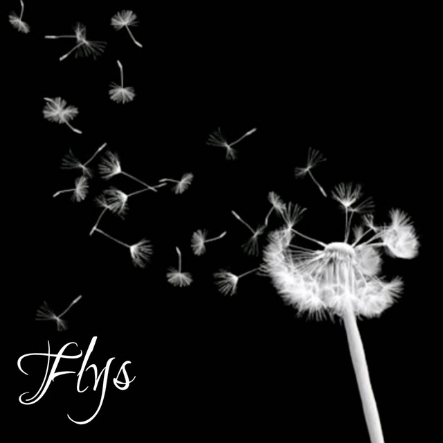 Flys cover art